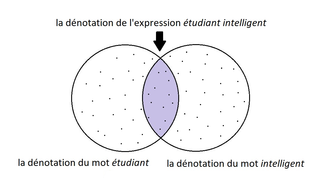 L'intersection de deux ensembles représentants les étudiants et les intelligents